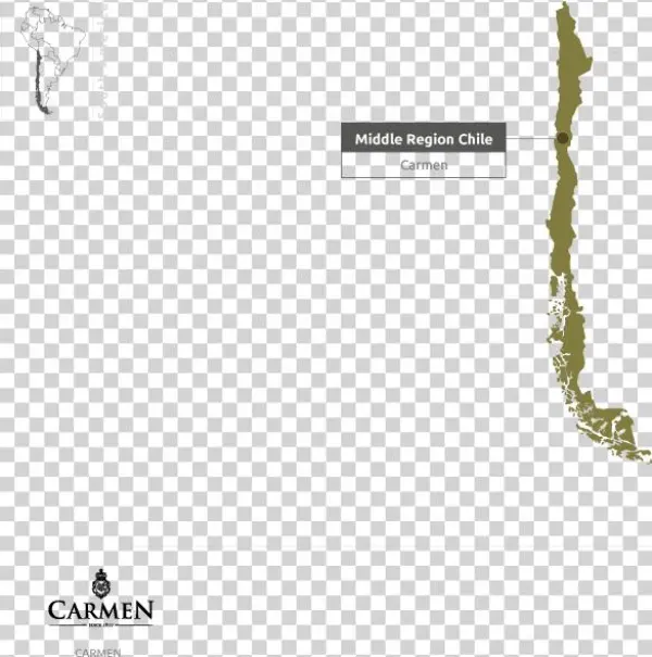 Our Producers From Chile - Illustration