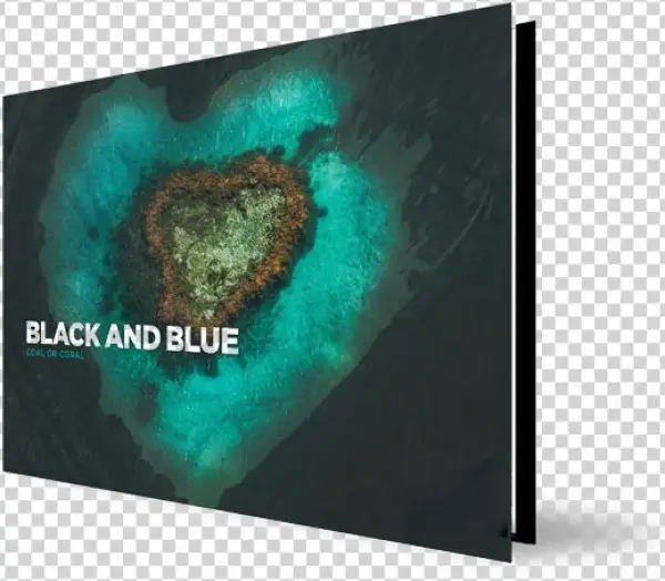 The Light Collective - Book