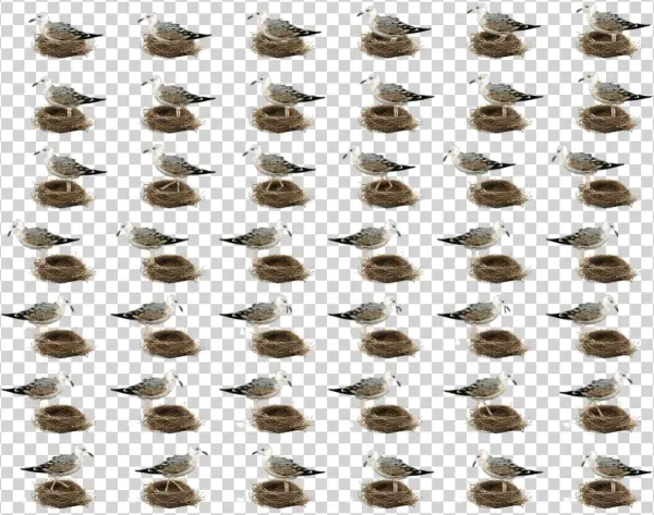 Виртуальный Дух-помощник - Raccoon