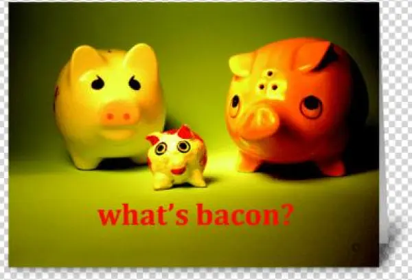 What's Bacon Greeting Card - Animal Figure