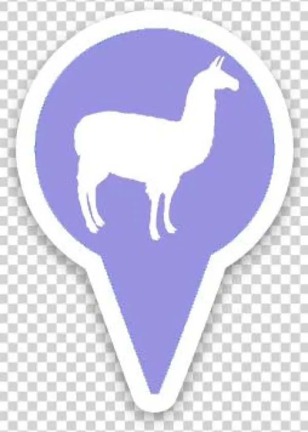 Bentwood Alpacas & Yaks - Canvas Print