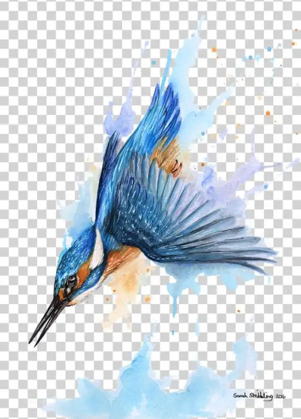 Bleed Area May Not Be Visible - Sarah Stribbling Watercolour