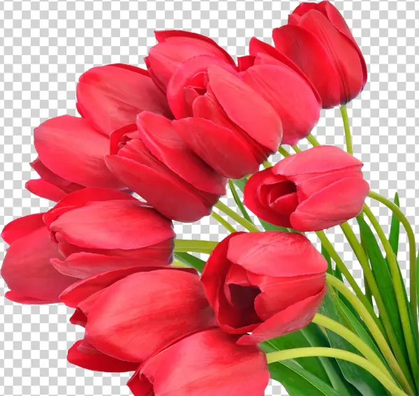 Bouquet Of Flowers Transparent Png File