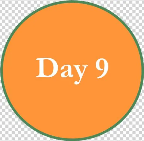 Kumartoli Potter'svillage, Where The Images Of The - Circle