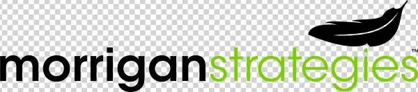 Morrigan Strategies - Nilüfer