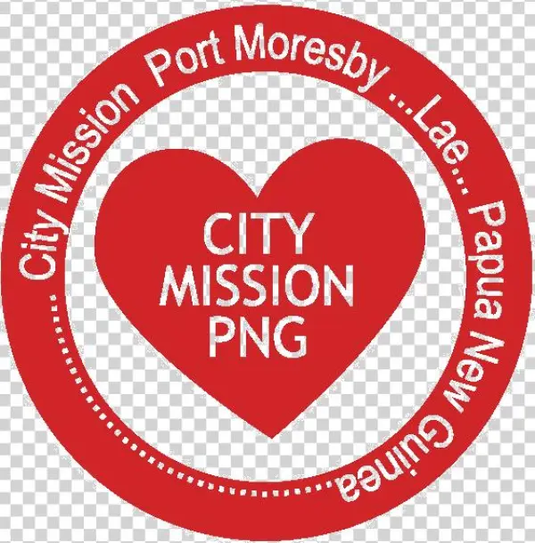 Shelter's Saffin India Limited-