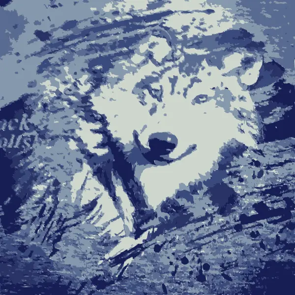 This Free Icons Png Design Of The Wolf From The Wolfpack
