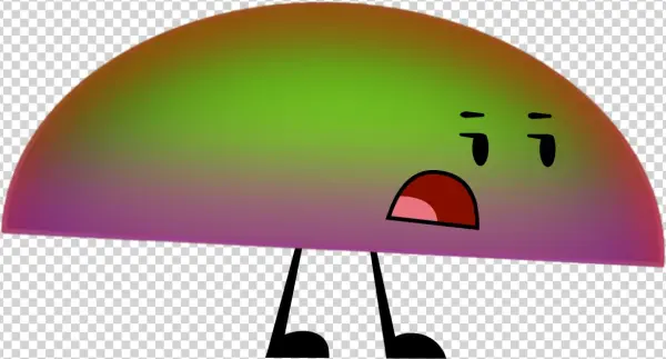 Turtle Shell - Turtle