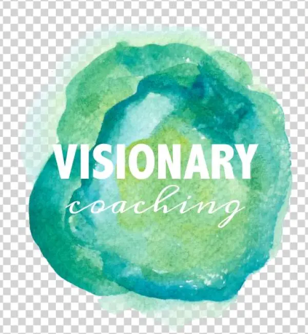 Visionary Coaching Package