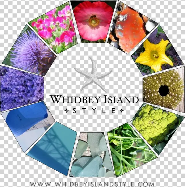 Wiscolorwheel2 - Whidbey Island