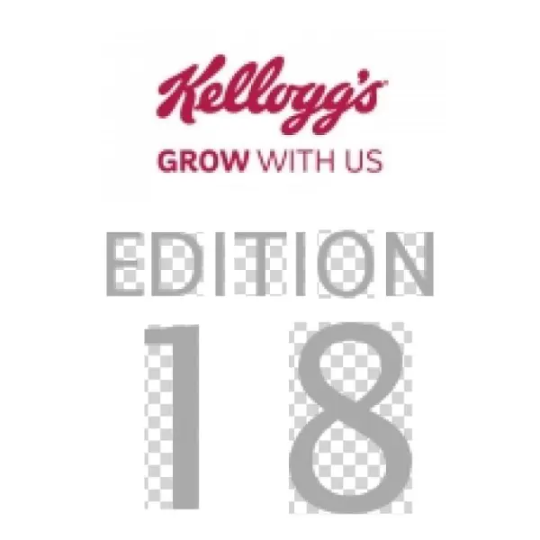 Kellogg's Nutri Grain Elevenses Chocolate Chip Bakes
