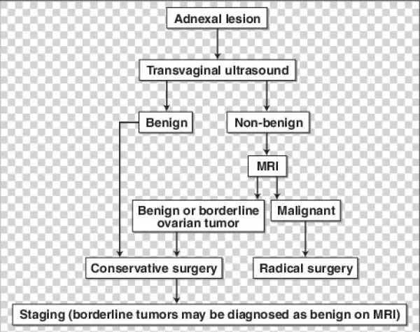 Maging Algorithm For Diagnosis Of Borderline Tumors - Science