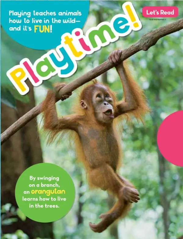 Read It - Rhesus Macaque