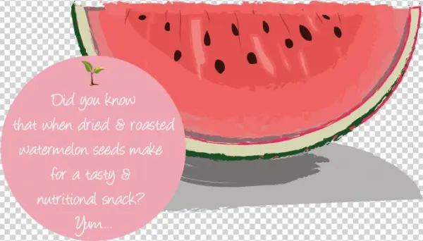 Seed Fact - Watermelon