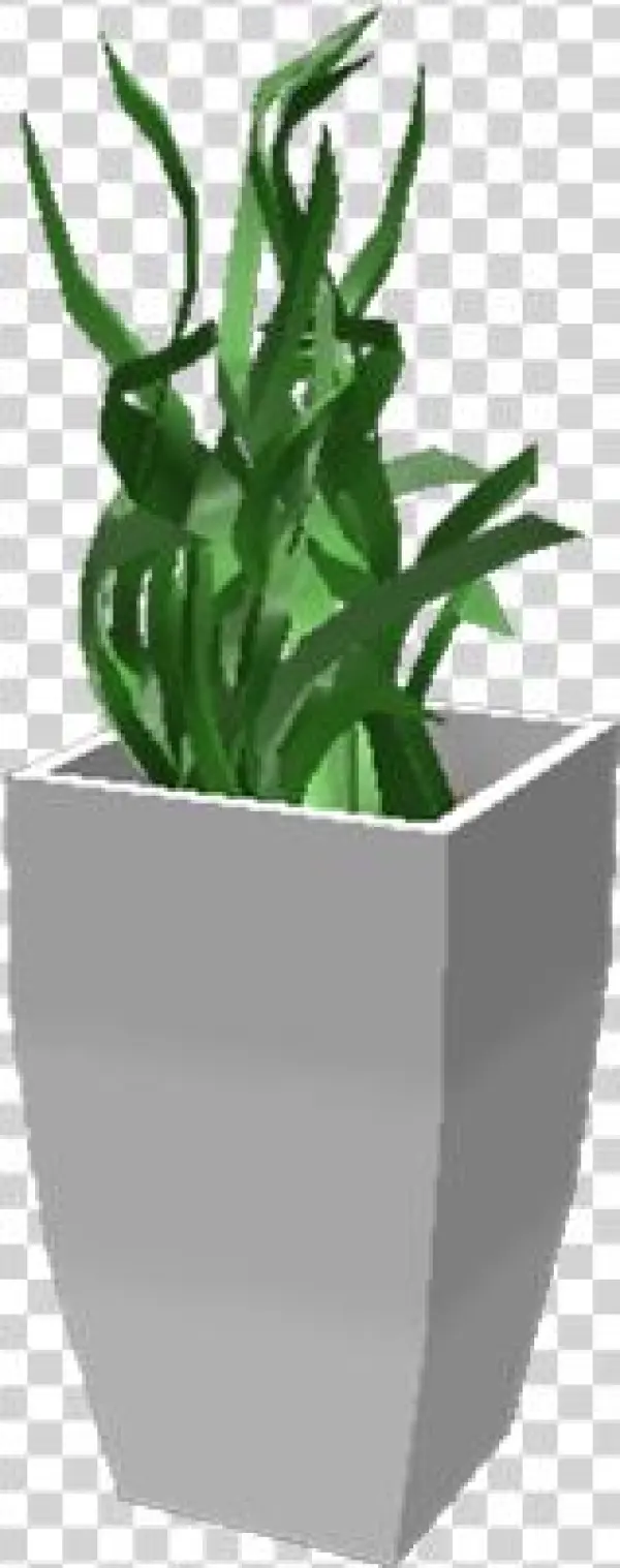 Spontaneousfloorplant - Flowerpot
