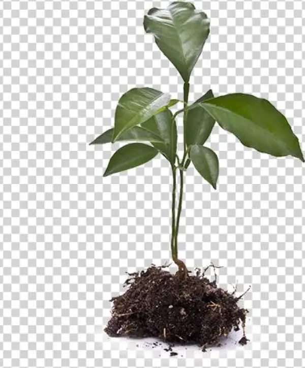 Agronomic Data - Stock Photography