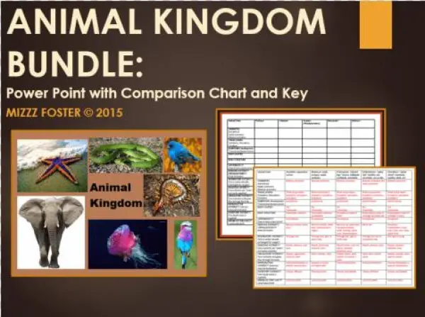 Animal Kingdom Bundle - Microsoft Powerpoint