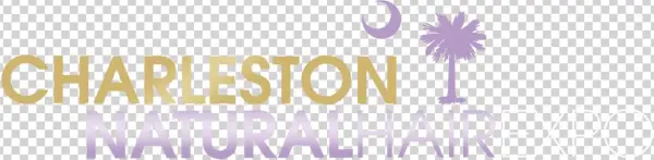 Charleston Natural Hair Expo - Palmetto & Cresent Moon Ornament (oval)