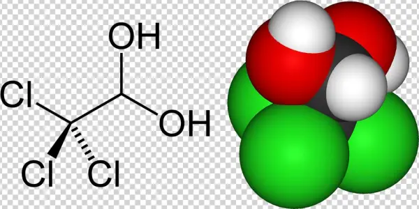 Chloral Hydrate Montage - 2 Chlorocinnamic Acid