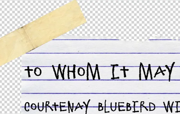 Late Night With Jimmy Fallon - Handwriting