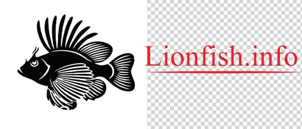 Lionfish Information - Lionfish