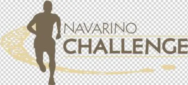 Navarino Challenge 2018