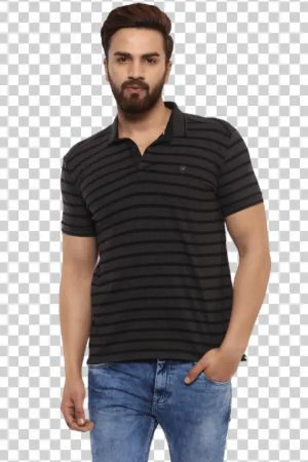 Polo Stripes Anthra Melange Half Sleeves T-shirt - Shirt