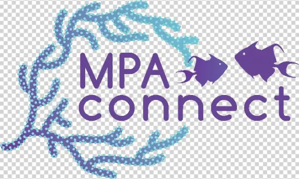 The Noaa-gcfi Partnership And Network Of Caribbean - Graphic Design