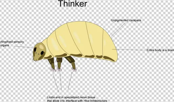 Thinker - Bee