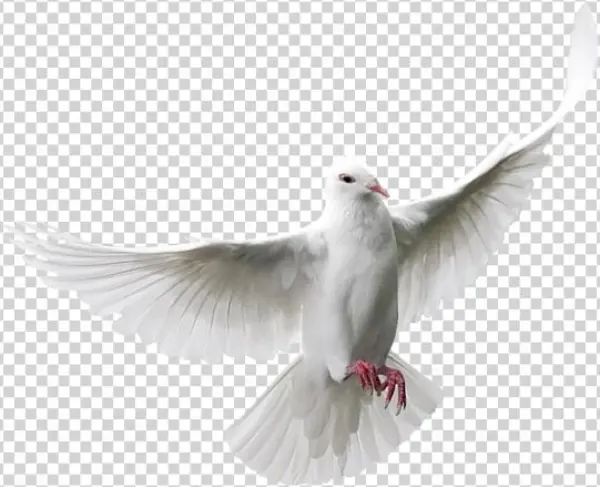 You Might Also Like - Color