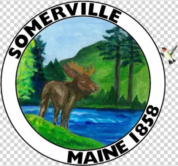 02 Mar Somerville - Donkey