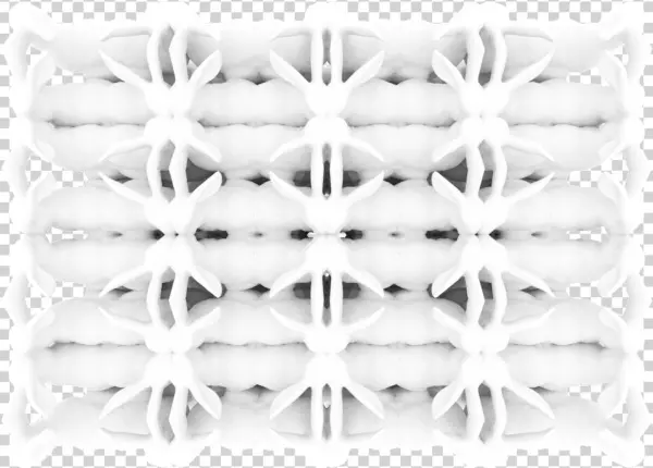 256 Bunnies Top Perspective