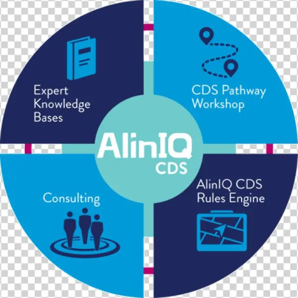 Aliniq Clinical Decision Making Wheel Image - Aliniq Cds