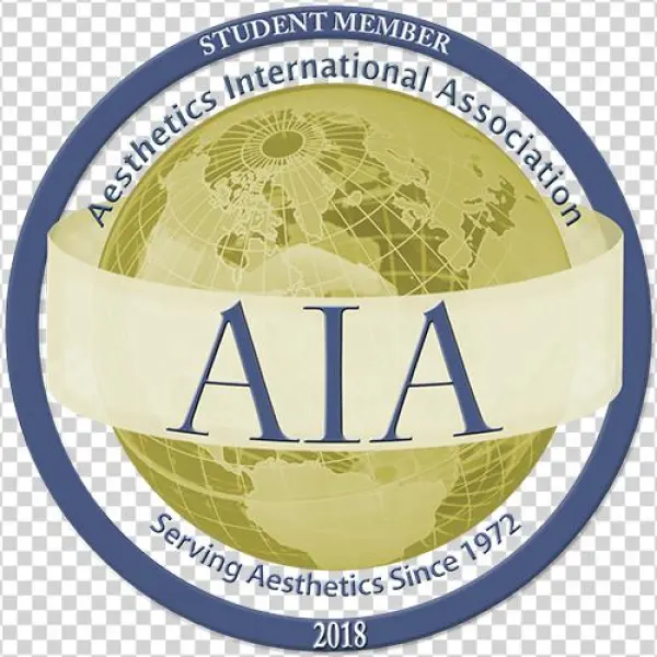 American Institute Of Architects