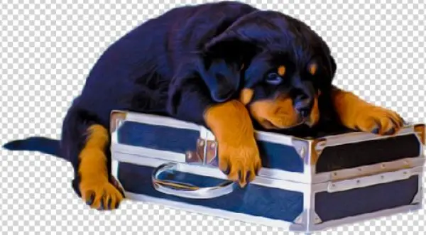 Animals Clipart Png,cartoon Animals Png,cute Animal - Dog