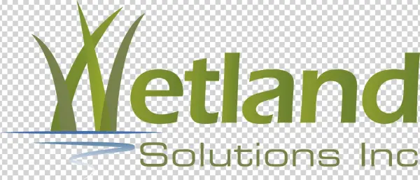 Back Home Back Home - Greatest Songs Ever - South Africa - Various Artists