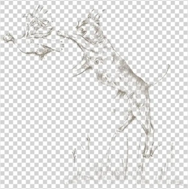 Back To Blog - Sketch