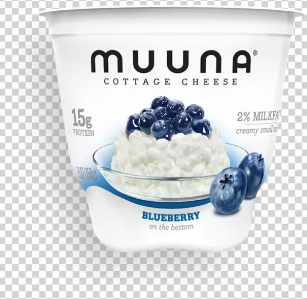 Blueberry - Muuna Cottage Cheese 16 Oz