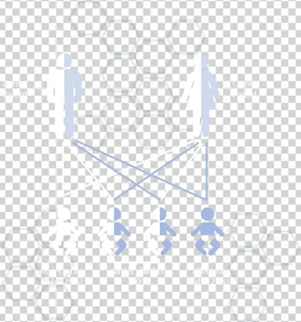 Carrier Status Infographic - Wickelraum