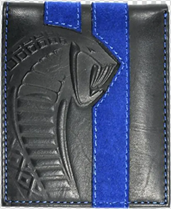 Carroll Shelby - Bluestripe Software Corporation