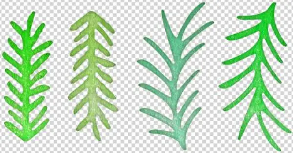 Cheery Lynn Dies - Cheery Lynn Designs B146 Pine Branches