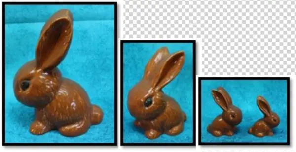 China Rabbits Breed Success - Rabbit