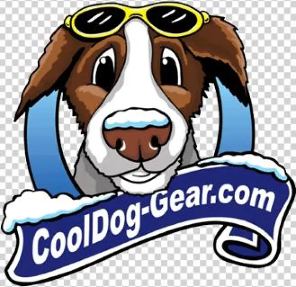 Cooldog-gear - English Foxhound
