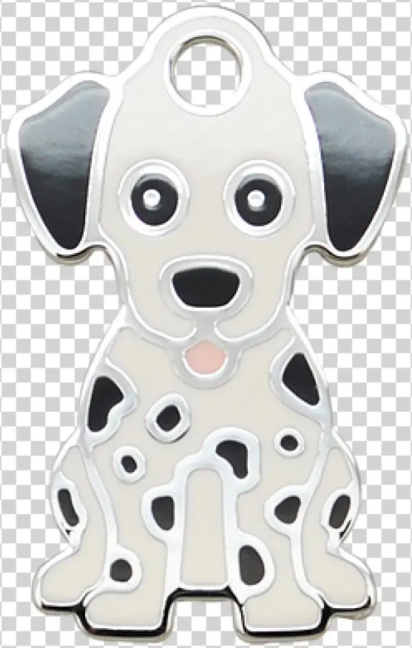 Dalmation - Dalmatian Dog