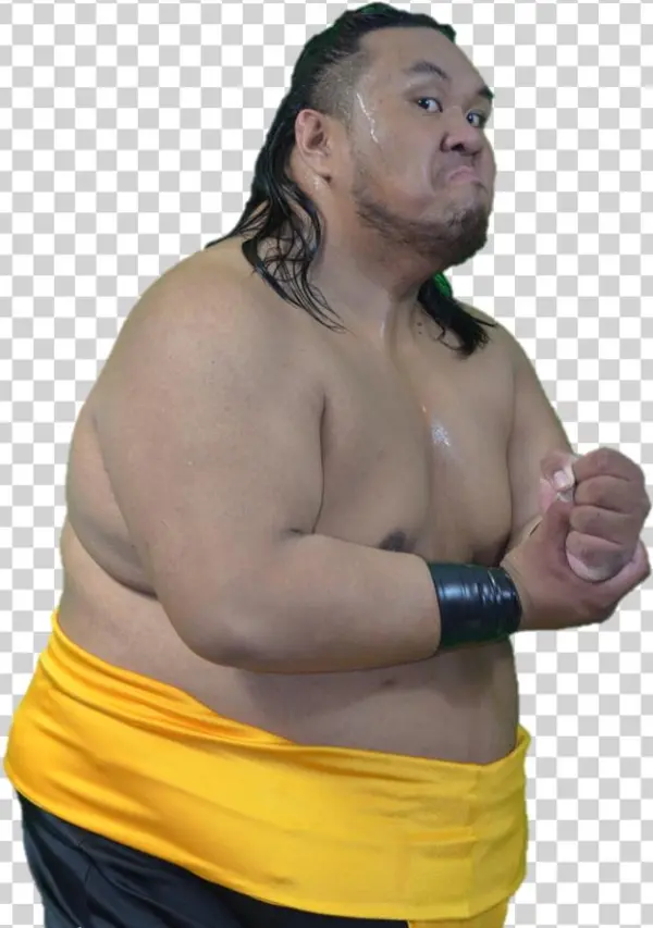 Fallah Bahh - Robert Gibson