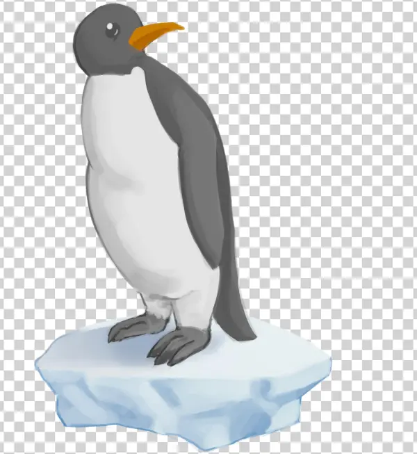 Gentoo Penguin