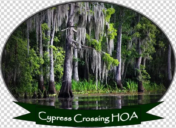 Home - Louisiana Bayou