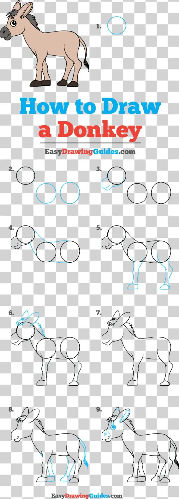 How To Draw Donkey - Drawing