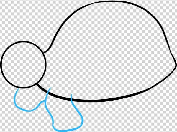 How To Draw Sea Turtle - Drawing