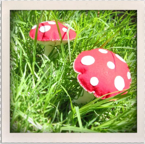 I'm So Into Toadstools Right Now & Loving My New Creation - Edible Mushroom
